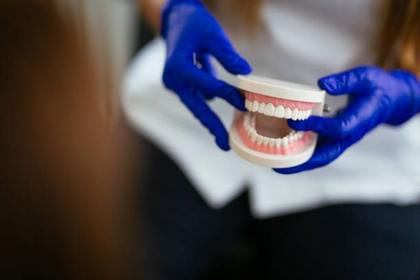 Why Choose Us for Your Dental Needs in Clawson, MI